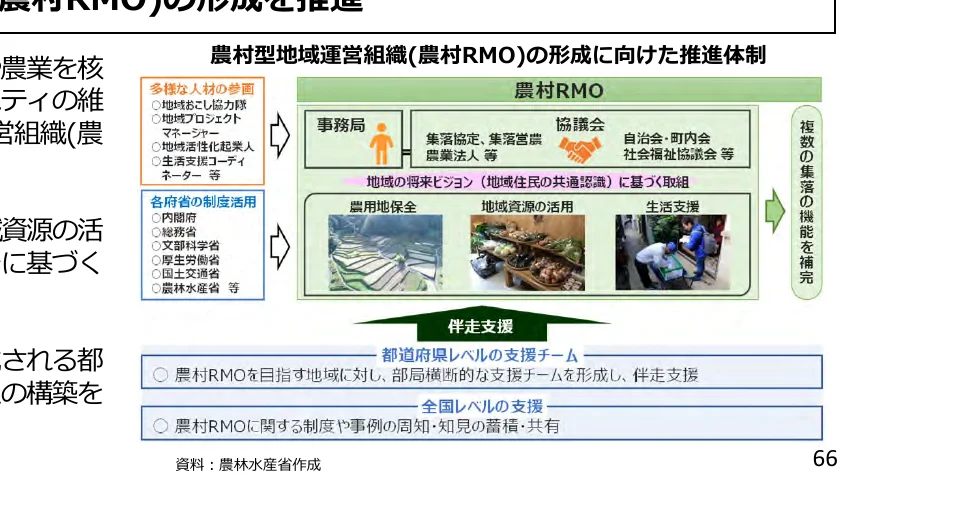 農村RMOの形成に向けた推進体制を示すフロー図
