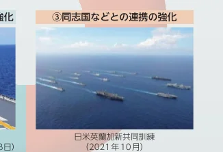 figure (conf=0.86)