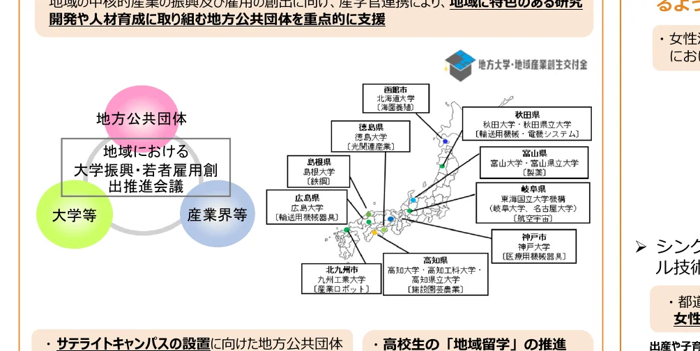 地域における大学振興・若者雇用創出推進会議の概念図