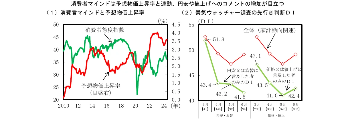 消費者マインドは予想物価上昇率と連動、円安や値上げへのコメントの増加が目立つ