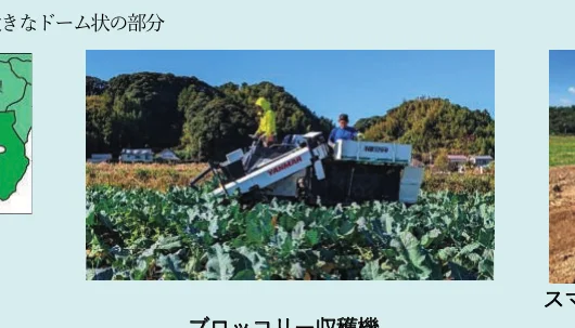 ブロッコリー収穫機