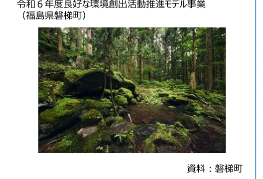 苔むした岩と木々が生い茂る森の写真