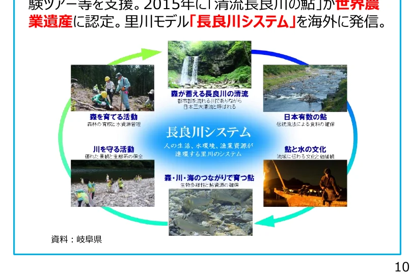 長良川システムの概念図。森林、川、海、文化、漁業資源、人の生活、水環境などが循環している様子を図示している。