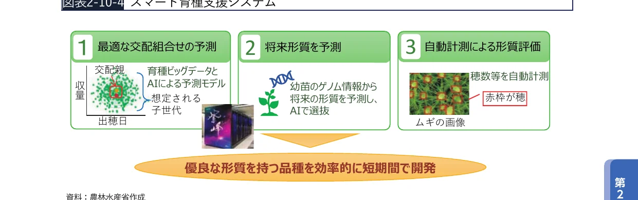 スマート育種支援システムのプロセス図。最適な交配組み合わせの予測、将来形質の予測、自動計測による形質評価の3つのステップを経て、優良な形質を持つ品種を効率的に短期間で開発する。