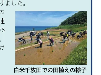 白米千枚田での田植えの様子を写した写真