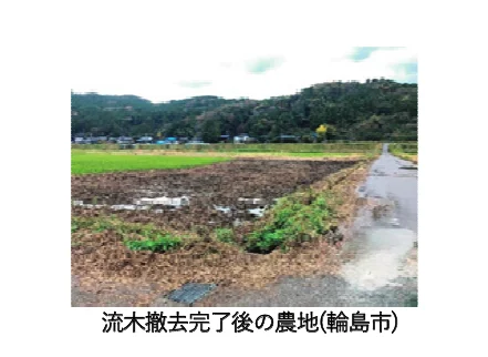 流木撤去完了後の農地（輪島市）の写真