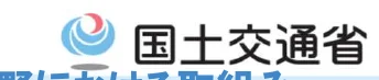 figure (conf=0.84)
