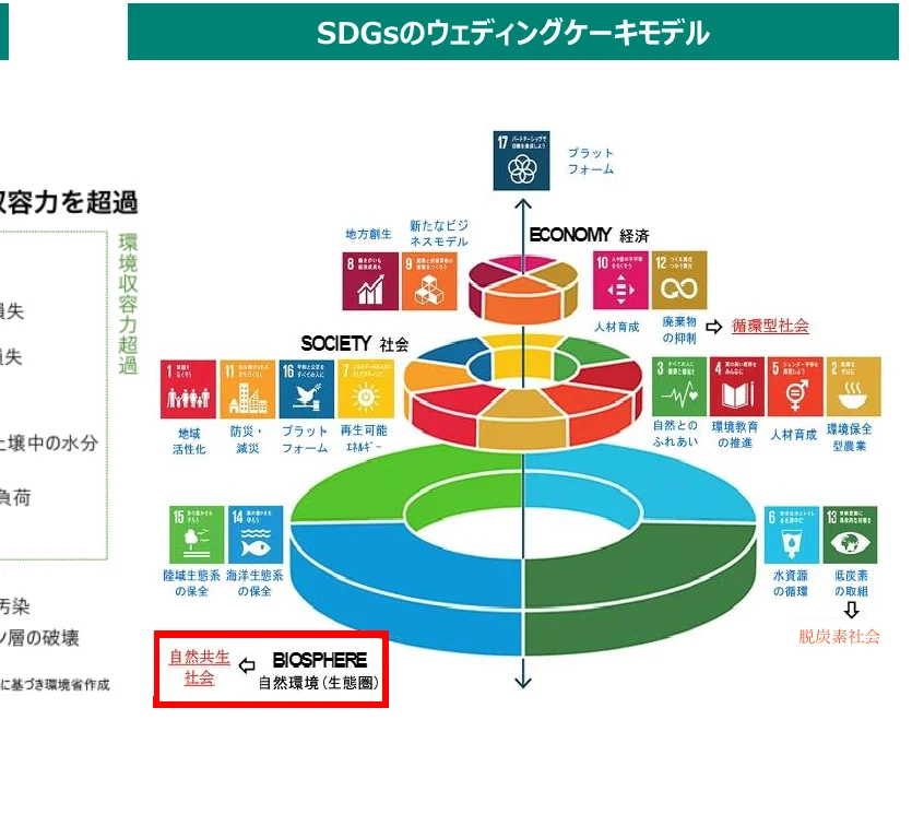 SDGsのウェディングケーキモデルと、自然共生社会、BIOSPHERE（自然環境（生態圏））の関係性を示す概念図。