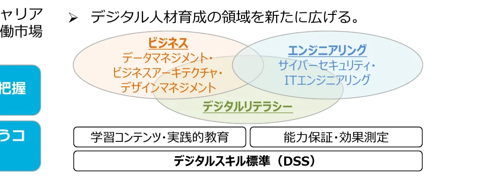 デジタル人材育成の領域を広げるための概念図。ビジネス、エンジニアリング、デジタルリテラシーの3つの領域が重なり合い、学習コンテンツ・実践的教育、能力保証・効果測定、デジタルスキル標準（DSS）といった要素と関連していることを示している。