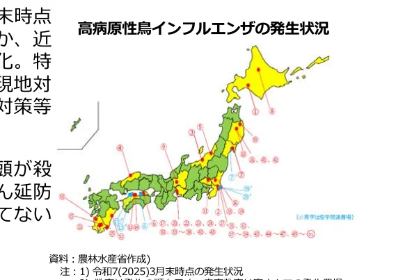 figure (conf=0.96)