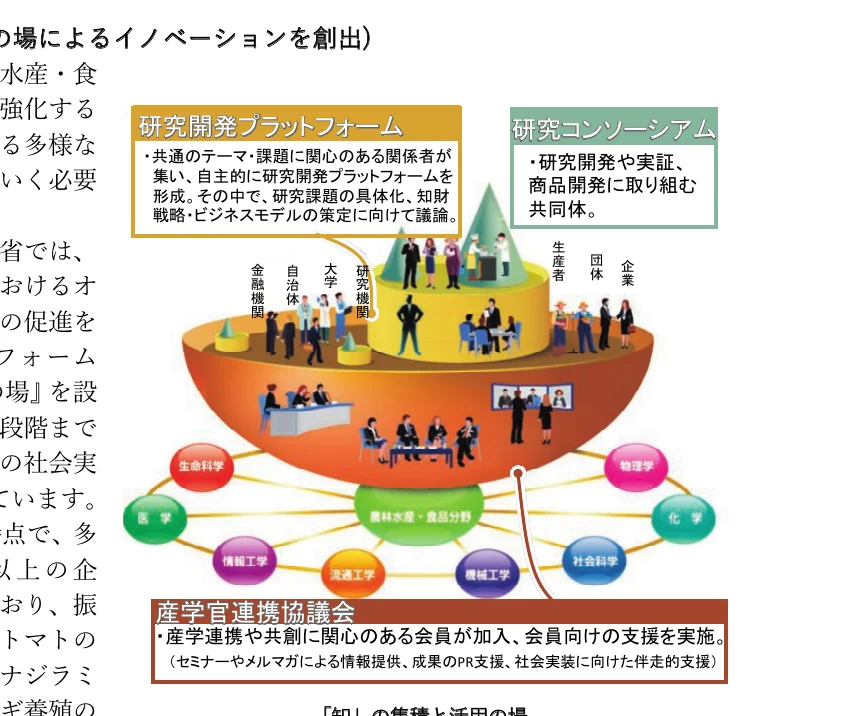 イノベーション創出のための研究開発プラットフォーム、研究コンソーシアム、産学官連携協議会の概念図