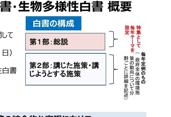 白書の構成と内容に関する概念図