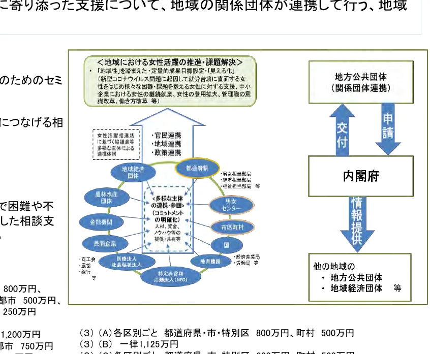 地域における女性活躍推進の推進・課題解決に向けた、関係団体連携によるフロー図