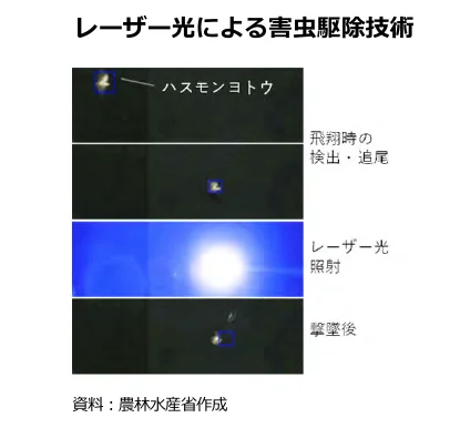 figure (conf=0.97)
