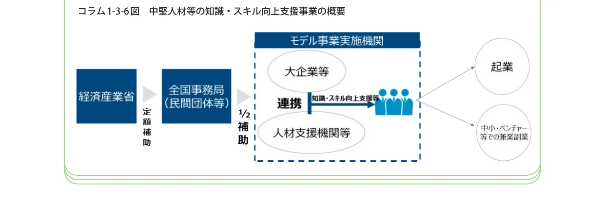 経済産業省から全国事務局（民間団体等）への定額補助、そこからモデル事業実施機関（大企業等、人材支援機関等）への連携による知識・スキル向上支援を経て、起業や中小・ベンチャー等での兼業副業につながるプロセスを示すフロー図。