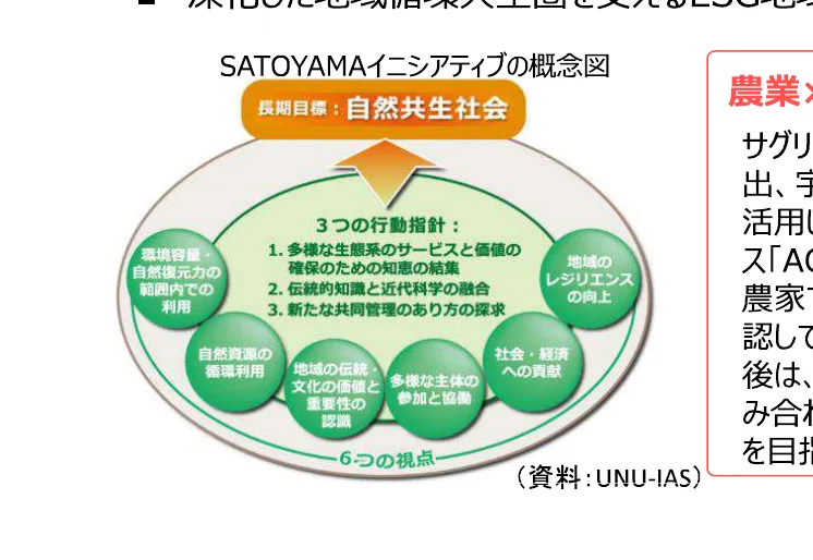 SAToyamaイニシアティブの概念図。長期目標として「自然共生社会」を掲げ、3つの行動指針（多様な生態系のサービスと価値の確保のための知恵の結集、伝統的知識と近代科学の融合、新たな共同管理のあり方の探求）と6つの視点（環境容量・自然復元力の範囲内での利用、自然資源の循環利用、地域の伝統・文化の価値と重要性の認識、多様な主体の参加と協働、社会・経済への貢献、地域のレジリエンスの向上）から構成されている。