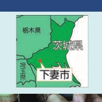 茨城県下妻市の地図