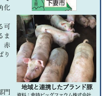地域と連携したブランド豚の飼育風景の写真