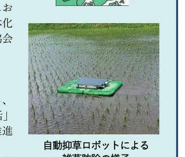 水田で稼働する自動抑草ロボットの写真