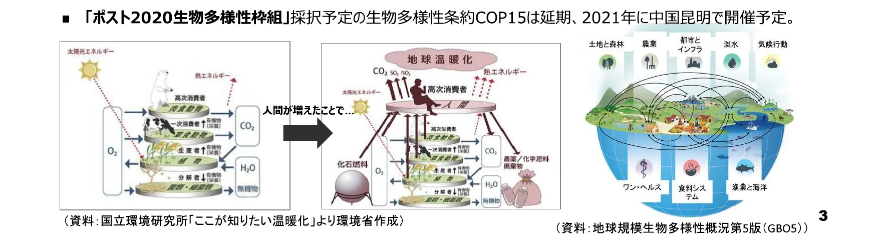 「ポスト2020生物多様性枠組」採択予定の生物多様性条約COP15は延期、2021年に中国昆明で開催予定。地球温暖化のメカニズムと、土地と森林、農業、都市とインフラ、淡水、気候行動、ワンヘルス、食料システム、漁業と海洋といった様々な要素間の相互関係を示す図。