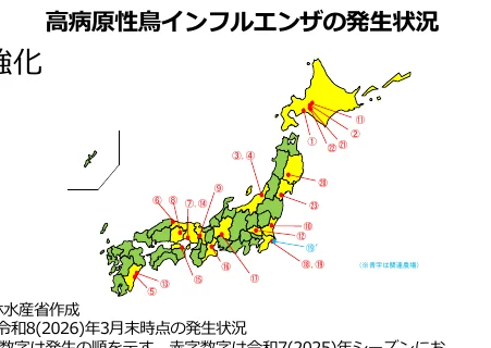 figure (conf=0.94)