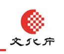 figure (conf=0.82)