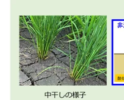figure (conf=0.93)