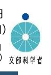 figure (conf=0.82)