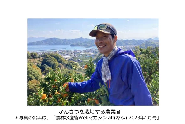 みかん畑で働く農家