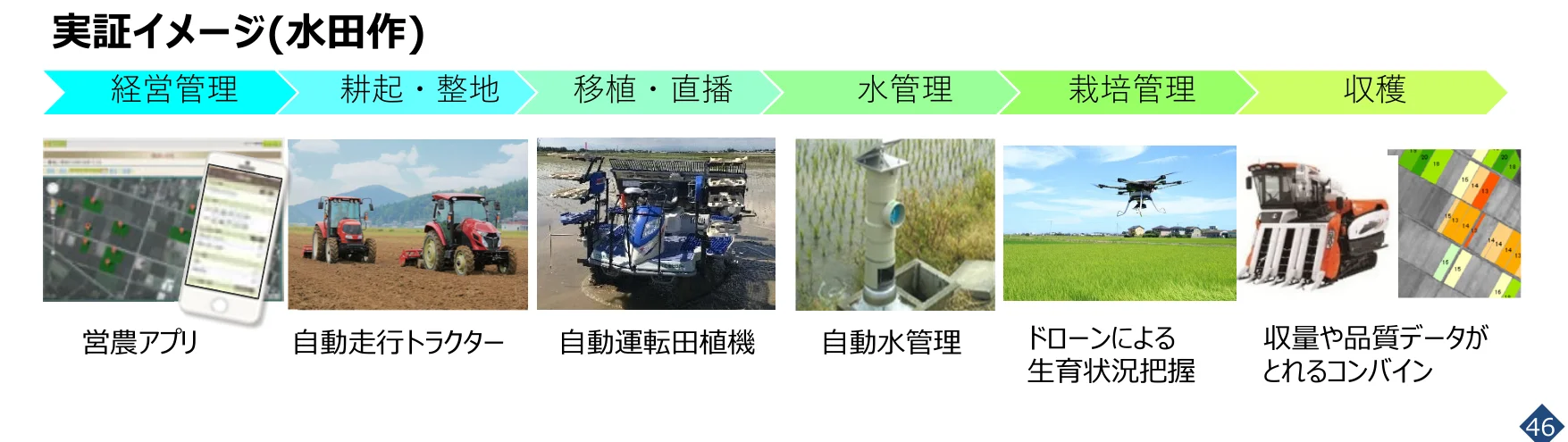 水田農業における実証イメージのタイムライン
