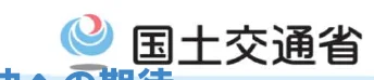 figure (conf=0.83)