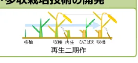 figure (conf=0.77)