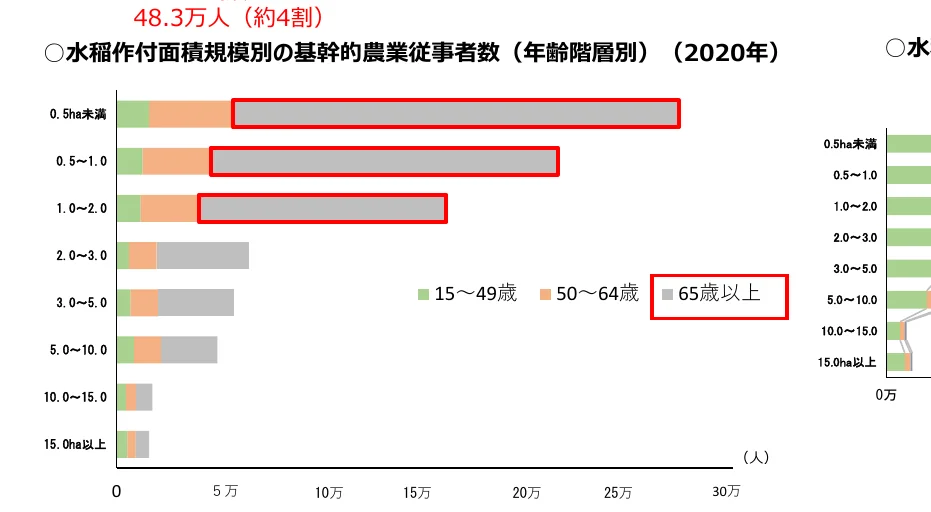 水稲作付面積規模別の基幹的農業従事者数（年齢階層別）の棒グラフ（2020年）