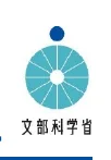 figure (conf=0.91)