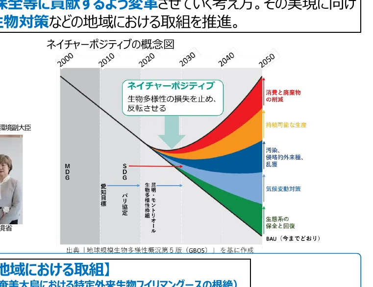 ネイチャーポジティブの概念図。生物多様性の損失を止め、反転させることを目指し、MDGからSDG、そしてネイチャーポジティブへと移行する過程と、それに伴う様々な課題（汚染、気候変動など）の解決に向けた取り組みを示す。