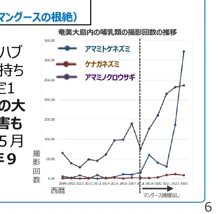 奄美大島内の哺乳類の撮影回数の推移を示す折れ線グラフ。アマミノクロウサギ、ケナガネズミ、アマミトゲネズミの3種について、2009年から2023年までの撮影回数の変化を年ごとに示している。マンゴーの捕獲なしの期間とありの期間が点線で区切られている。