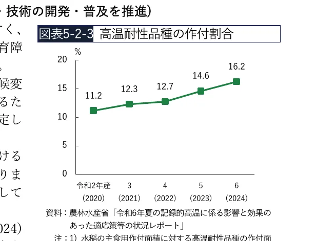 高温耐性品種の作付割合の推移を示す折れ線グラフ（2020年-2024年）
