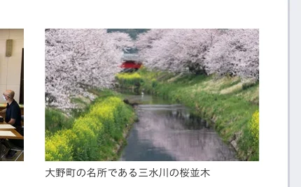 大野町の名所である三水川の桜並木を写した写真