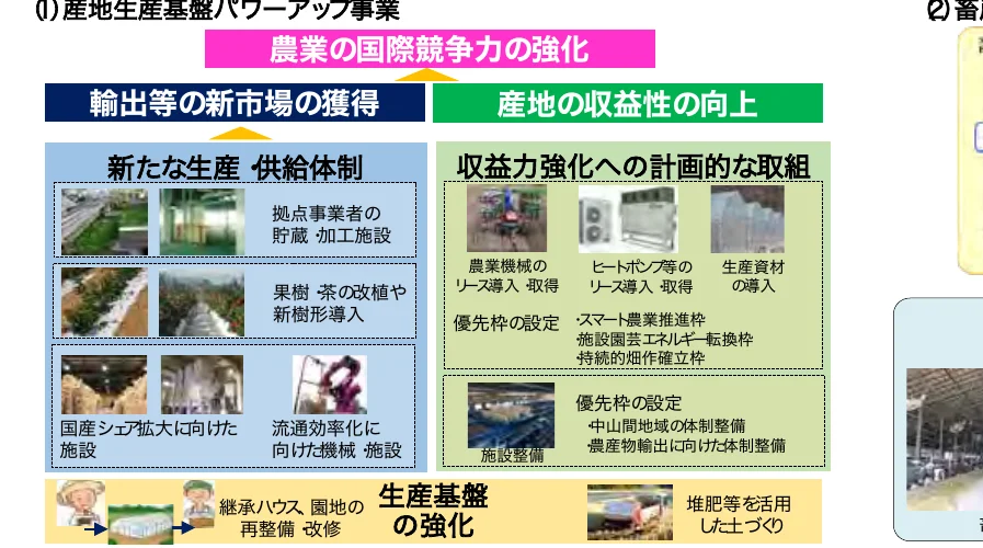 農業の国際競争力強化に向けた生産基盤の強化と収益力向上に関するインフォグラフィック