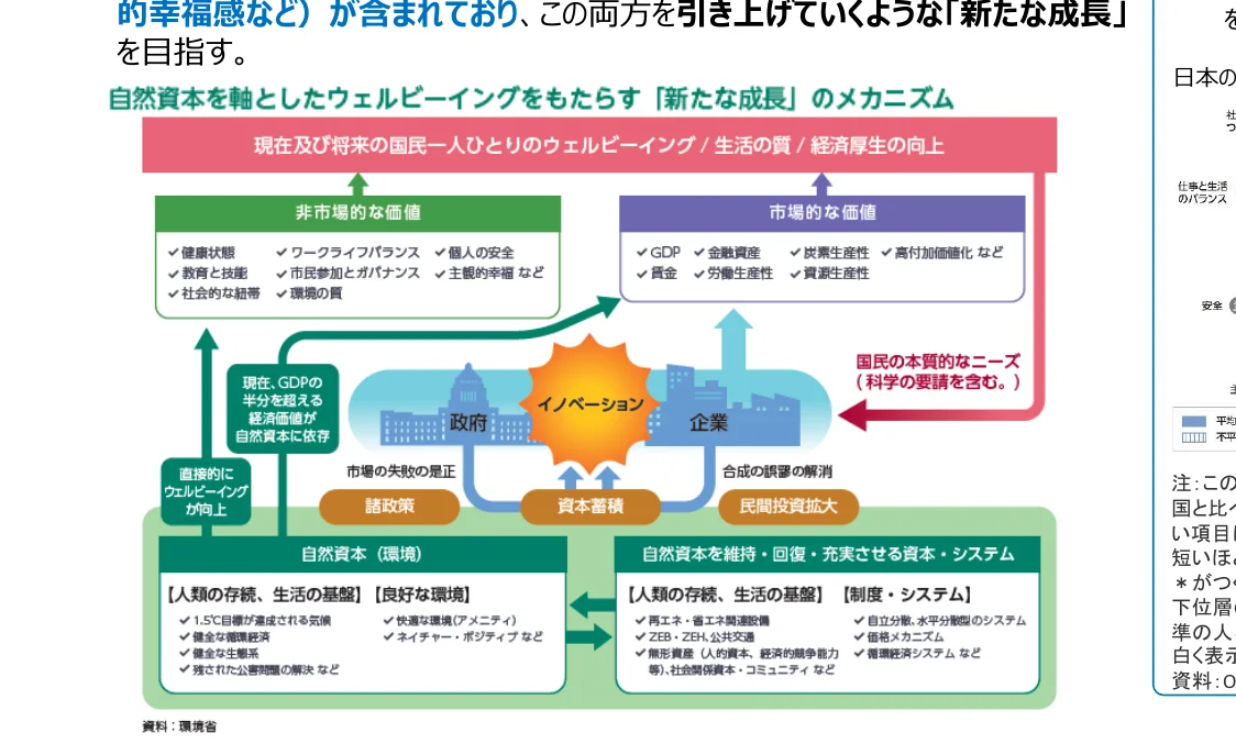 自然資本を軸としたウェルビーイングをもたらす「新たな成長」のメカニズムを示すフロー図