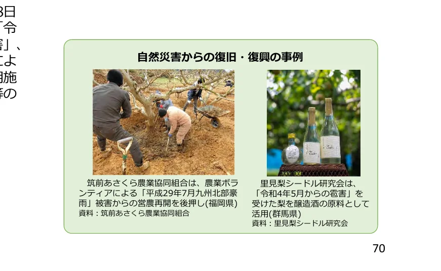 自然災害からの復旧・復興の事例として、農業ボランティアによる被災地の復旧作業と、災害で被害を受けた梨を原料とした酒造りの事例を紹介するインフォグラフィック。