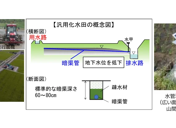 沈用化田の概念図