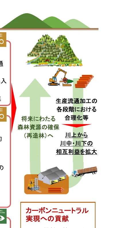 森林資源の確保からカーボンニュートラル実現への貢献までのプロセス図
