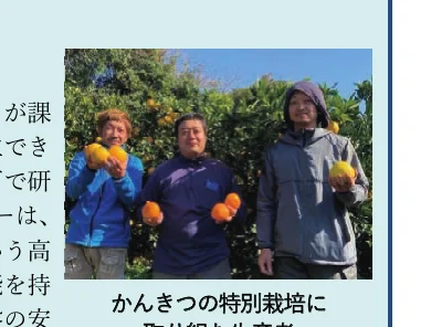 3人の男性が柑橘類を手に持ち、柑橘類の木々の前でポーズをとっている。