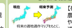 figure (conf=0.87)