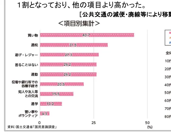 項目別の回答率を示す横棒グラフ。買い物、通院、遊び・レジャーなどが上位項目として示されている。