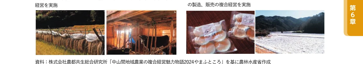 農作物の収穫、家畜の飼育、加工食品の製造・販売、そして冬の農地の風景を捉えた4枚の写真。