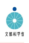 figure (conf=0.91)