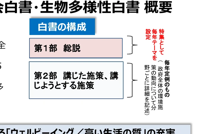 白書の構成を示すフロー図