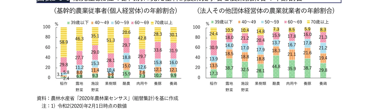 農業従事者の年齢割合の棒グラフ（基幹的農業従事者と法人その他の団体経営体の農業就業者）